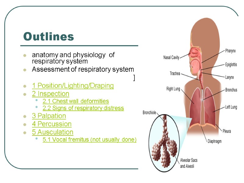 Outlines anatomy and physiology  of respiratory system  Assessment of respiratory system ]